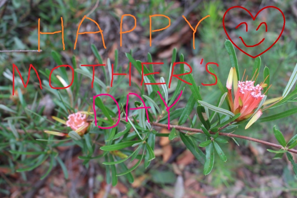 Happy Mothers Day