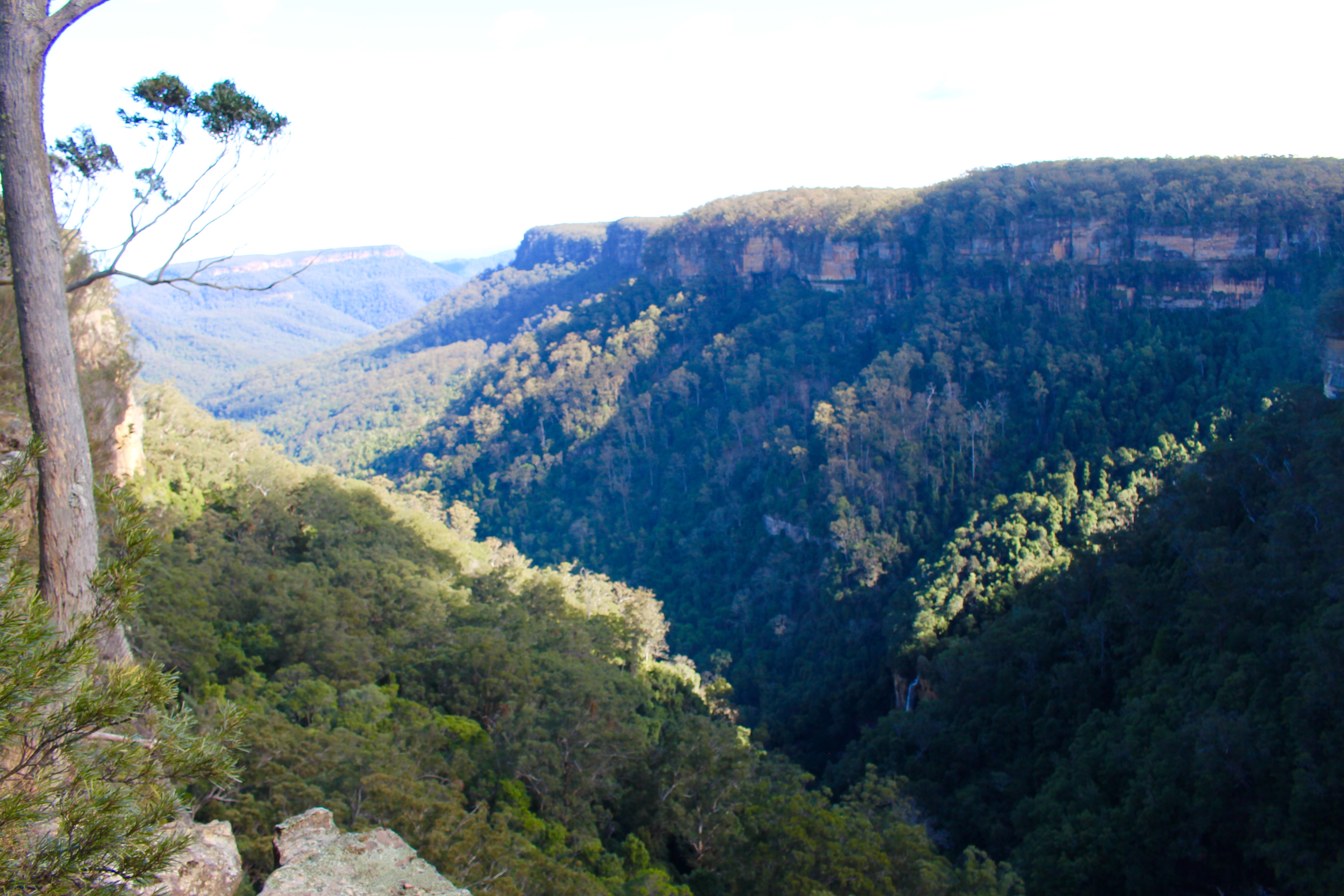 Warrawong Lookout